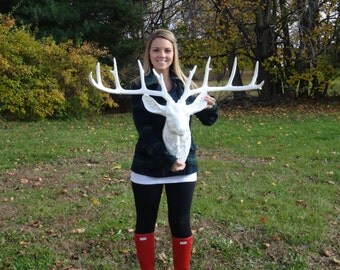 Extra Large - Wide Antler Spread Deer Head Wall Mount - White - Deer Head Antlers Faux Taxidermy TWLD0101