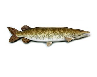 48 in.MUSKY, Muskie wood carving, fish art, sculpture, wood art, wood fish, fishing decor, wall hanging, fishermans gift, lodge/cabin decor