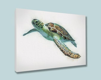Sea Turtle Wall Art kids room wall art sea turtle wall art sea turtle canvas Sea Turtle Wall Art kids room wall art sea turtle wall art sea turtle canvas