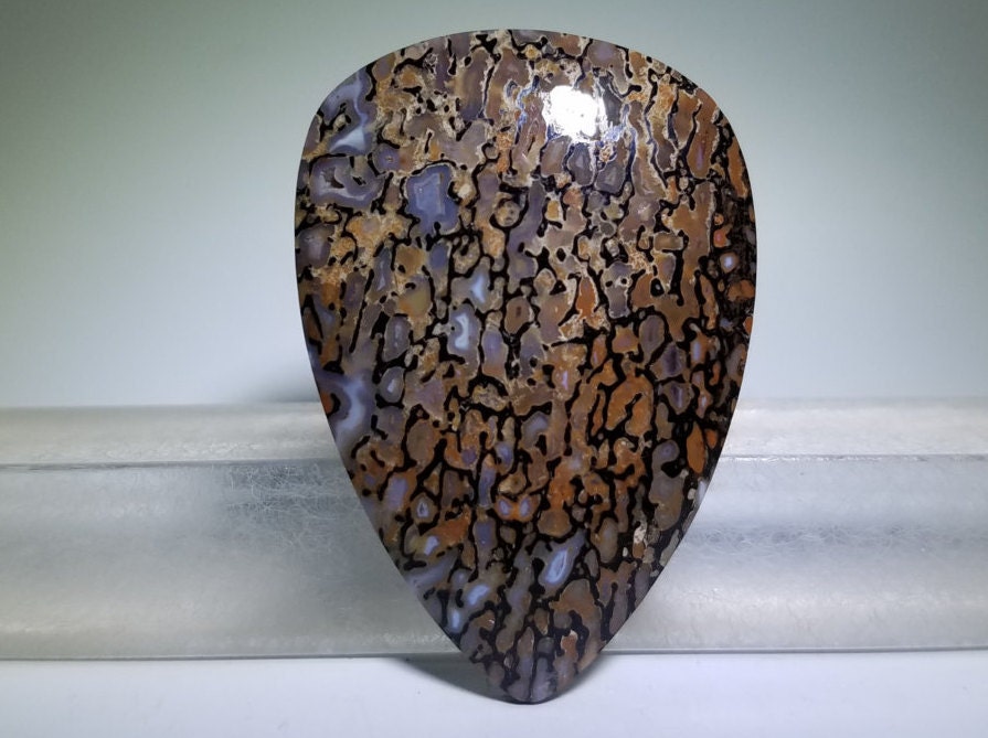 gem dinosaur bone