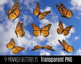 9 Transparent PNG Beautiful Yellow Monarch Butterfly Insect Fairytale Wings - Photoshop Photo Overlay for Photographers - Instant Download