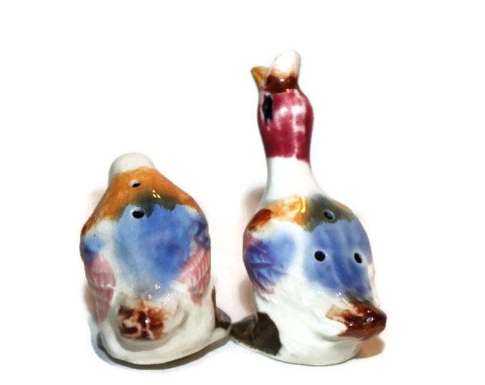 Salt and Pepper Shakers Colorful Ducks