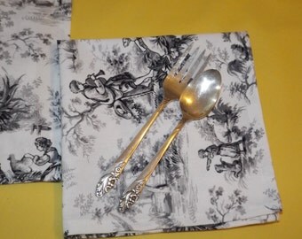Organic Napkins, Eco Friendly Cloth Napkins Set of 4, Table Napkins, Snack Napkin, Toile Napkins, French toile Napkins