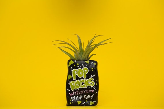 POP ROCKS PLANTER / watermelon