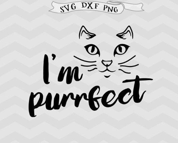 Download Cat svg Halloween SVG files Black cat Svg Purrfect svg DXF