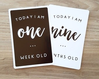 CLEARANCE + Little One Baby Milestone Cards