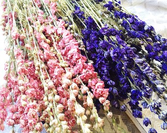Dried Larkspur, Pink, Dark Blue, Deep Purple, Dry Flowers, Bunch of Floral, Bouquet, Wedding, DIY, Home Decor, Bundle, Preserved Larkspur