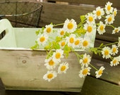 Rustic Wooden Box / Planter / Container / Home Decor/ Etsy Photo Prop and Craft Supply