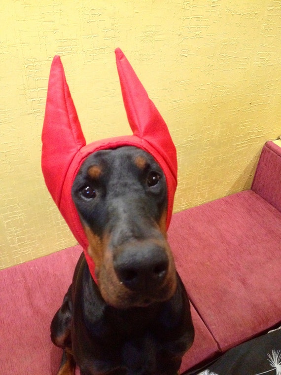 doberman winter hat