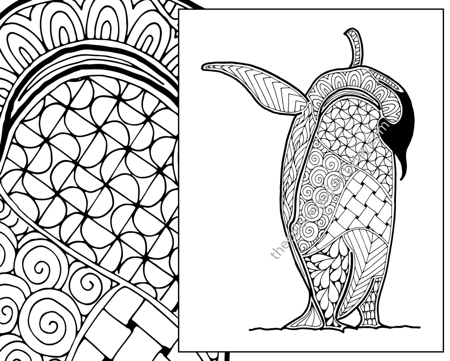 penguin coloring sheet animal coloring pdf zentangle