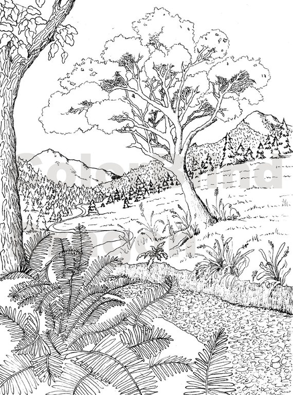 Wilderness coloring page coloring pages by colorblinddragon