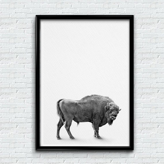 Nursery Print Buffalo Print Buffalo Wall Art Modern by MUNART