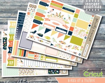 Birds of a Feather,PRINTABLE PLANNER STICKERS,Planner Sticker Kit,Erin Condren Planner Stickers,png,printable,stickers,bird,Cricut,cut files