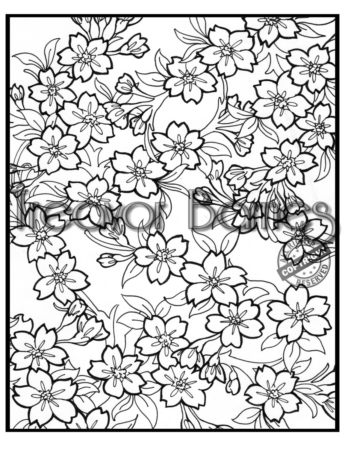 Download 305+ Cherry Blossoms Coloring Pages PNG PDF File
