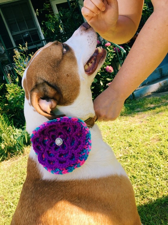 Dog Collar Corsage Handmade Crochet Flower Accessory