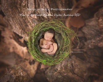 Nest in the Woods ~ Newborn Digital backdrop/ Background Digital File PSD