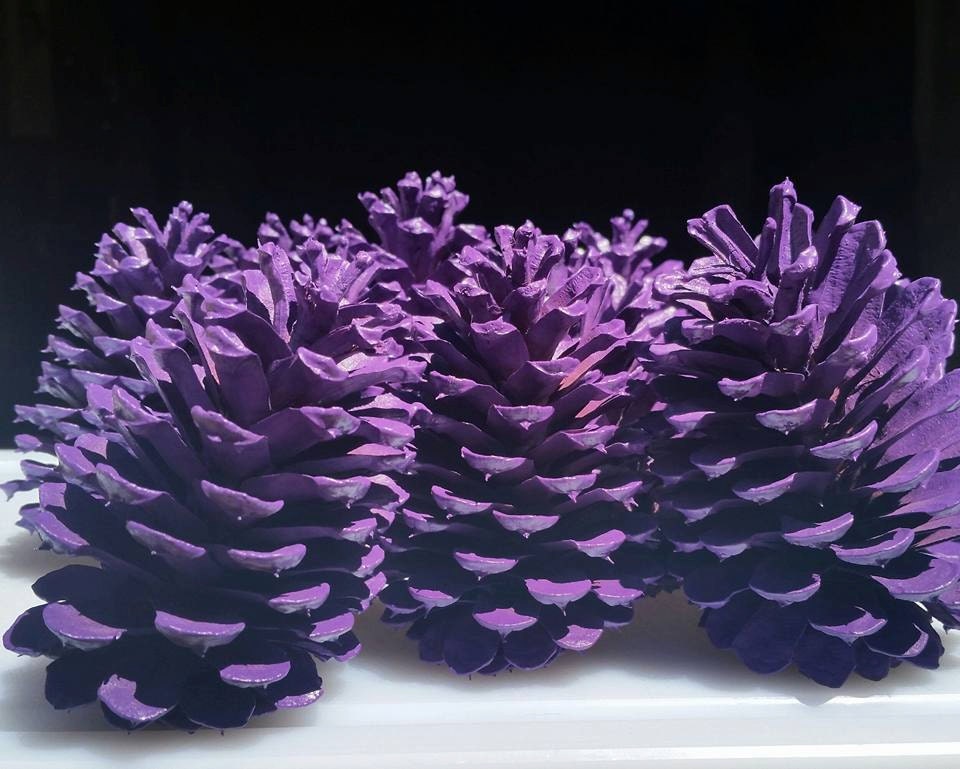 12 Purple Pine Cones Hand Painted All Natural Premium Quality