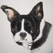 Tiffany Shuman