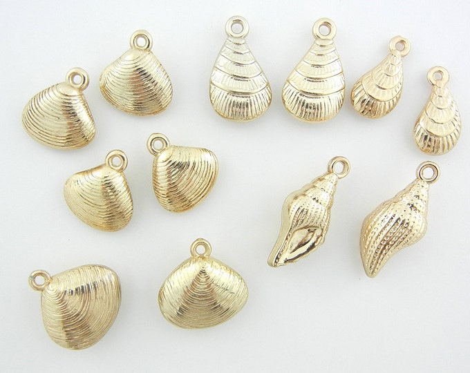 12 Dimensional Variety Seashells in Gold-tone Acrylic