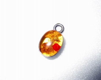 CHARM - DRIED FLOWERS - in Lucite - 925 - Sterling Silver charm155
