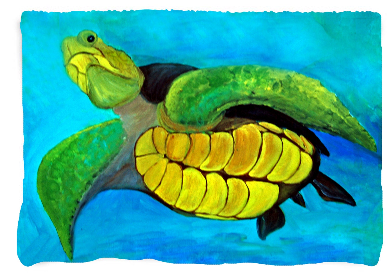BeddingOutlet Sea Turtle Sherpa Throw Blanket Map Tortoise ...