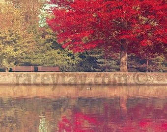Red Tree Print, Rideau Canal, Ottawa, Canada, Nature Photography, Fall Tree, Olive Green, Burgundy