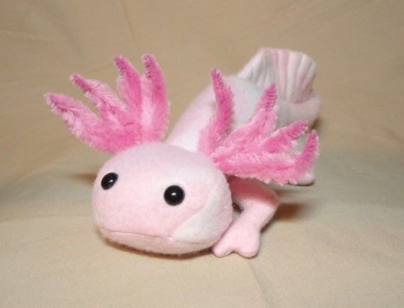 axolotl webkinz plush