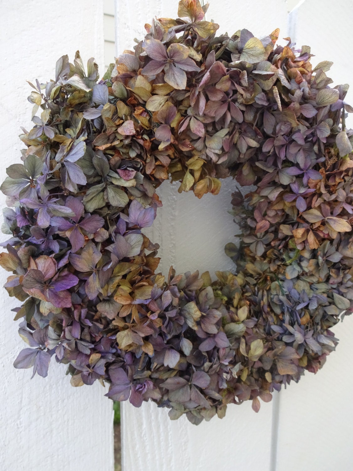Hydrangea Wreath Dried Hydrangea Wreath Dried by donnahubbard