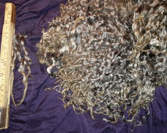 Gotland lamb's wool from Gotland ;-)