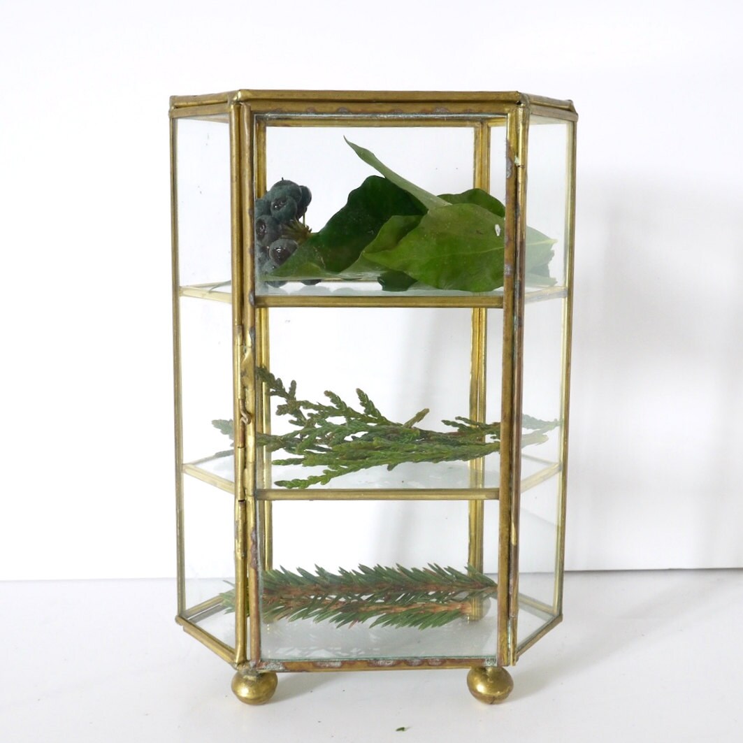 French Vintage Glass Box Display shadow box glass display box