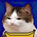 melinkolli