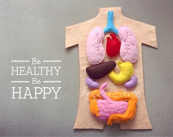 Human anatomy felt set, science toy, educational felt story, montessori at home, montessori toy, human body, felt,