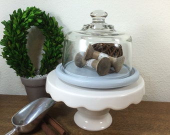 Decorative Glass Dome *FREE SHIPPING* Gray Glass Cloche, Glass Dome Display