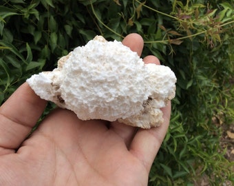 Mordenite