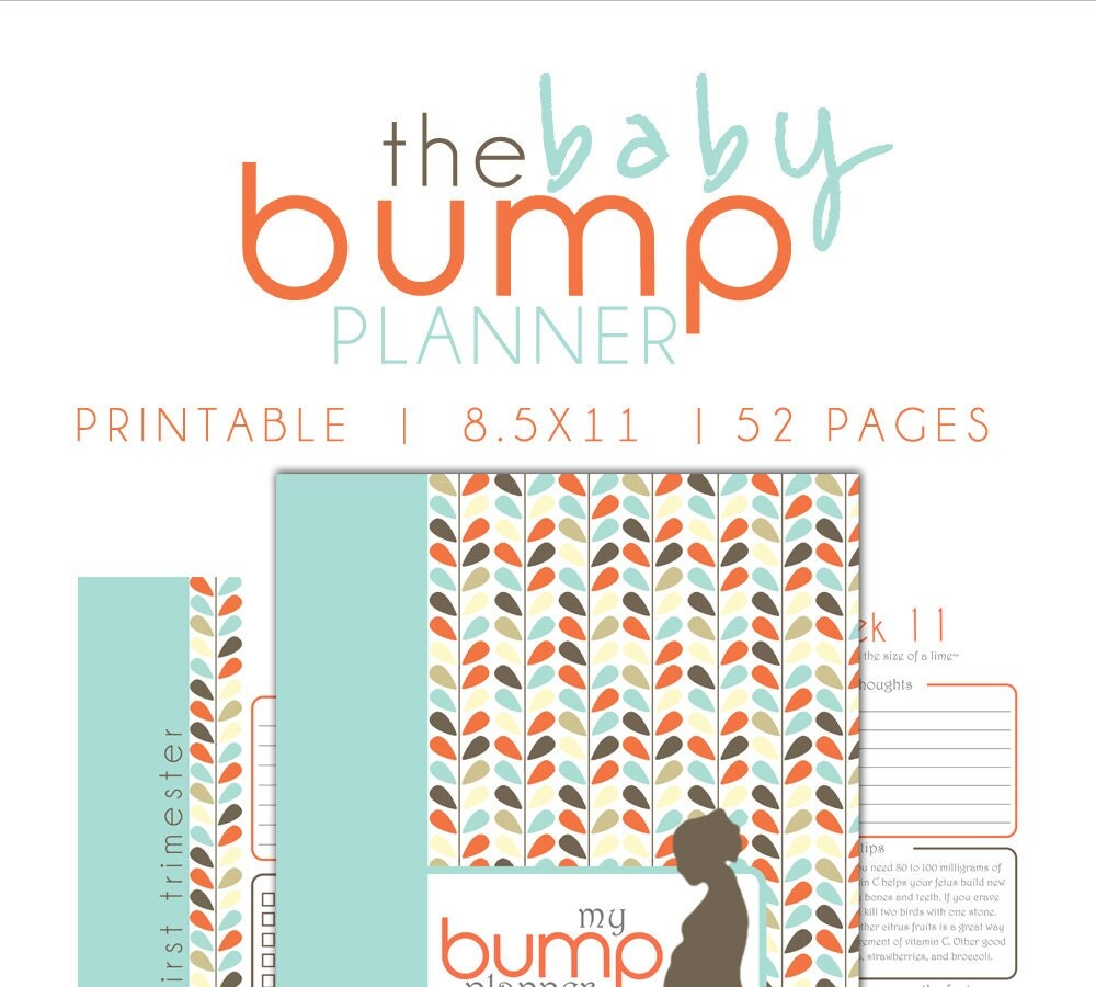 Pregnancy Planner Maternity Pringable Pregnancy Journal