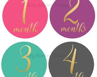 Baby Girl Monthly Stickers, Baby Month Stickers, Faux Gold Foil, Bodysuit Stickers, Shower Gift Nursery Decor Photo Prop Foil