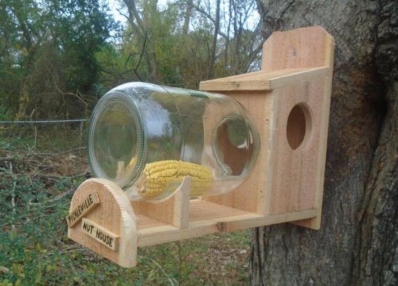 squirrel feeder rustic cedar with glass jar squirrel feeder rustic cedar with glass jar