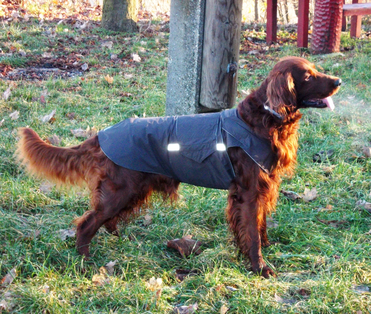 Irish Setter Dog Coat | irish setter dog raincoat dog rain jacket with underbelly Irish Setter Dog Coat | irish setter dog raincoat dog rain jacket with underbelly