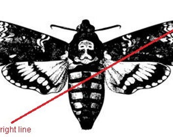 Vintage moth - temporary tattoo