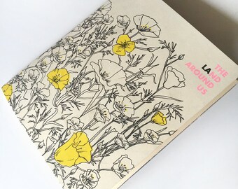 The LAnd Around Us risograph zine