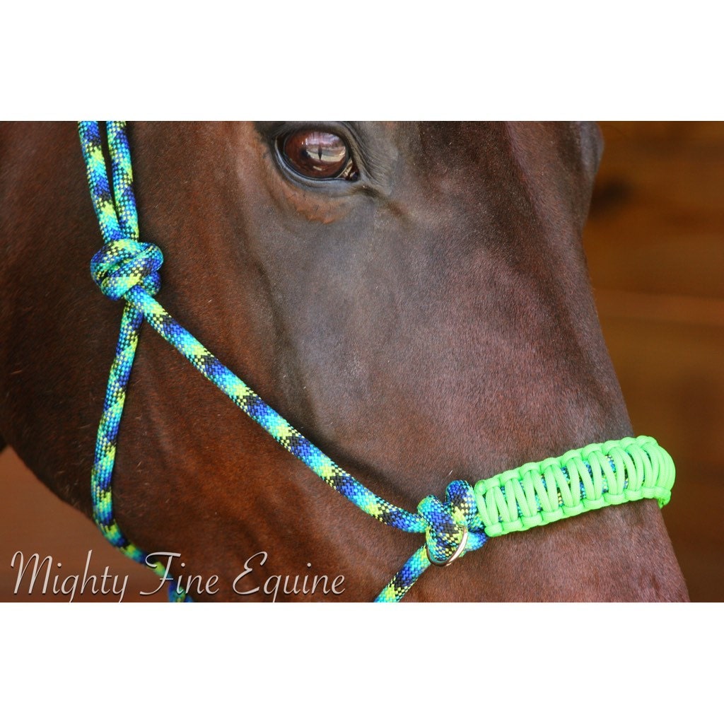 Custom Rope Halter/Bitless Bridle