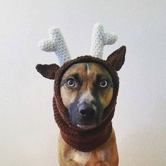 Reindeer Dog Hood