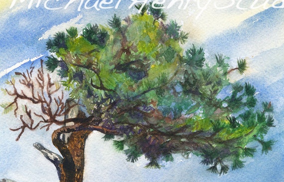 Watercolor Tree Painting Ponderosa Pine Lanscape by MHenryStudio