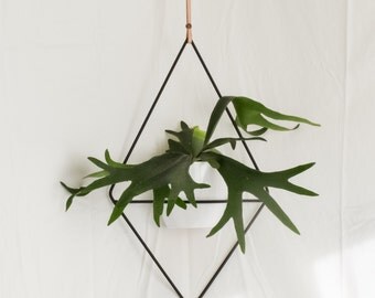 The Fernie - Hanging Planter Wire Steel Metal