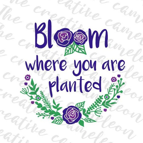 Bloom where you are planted SVG file cutting by ...