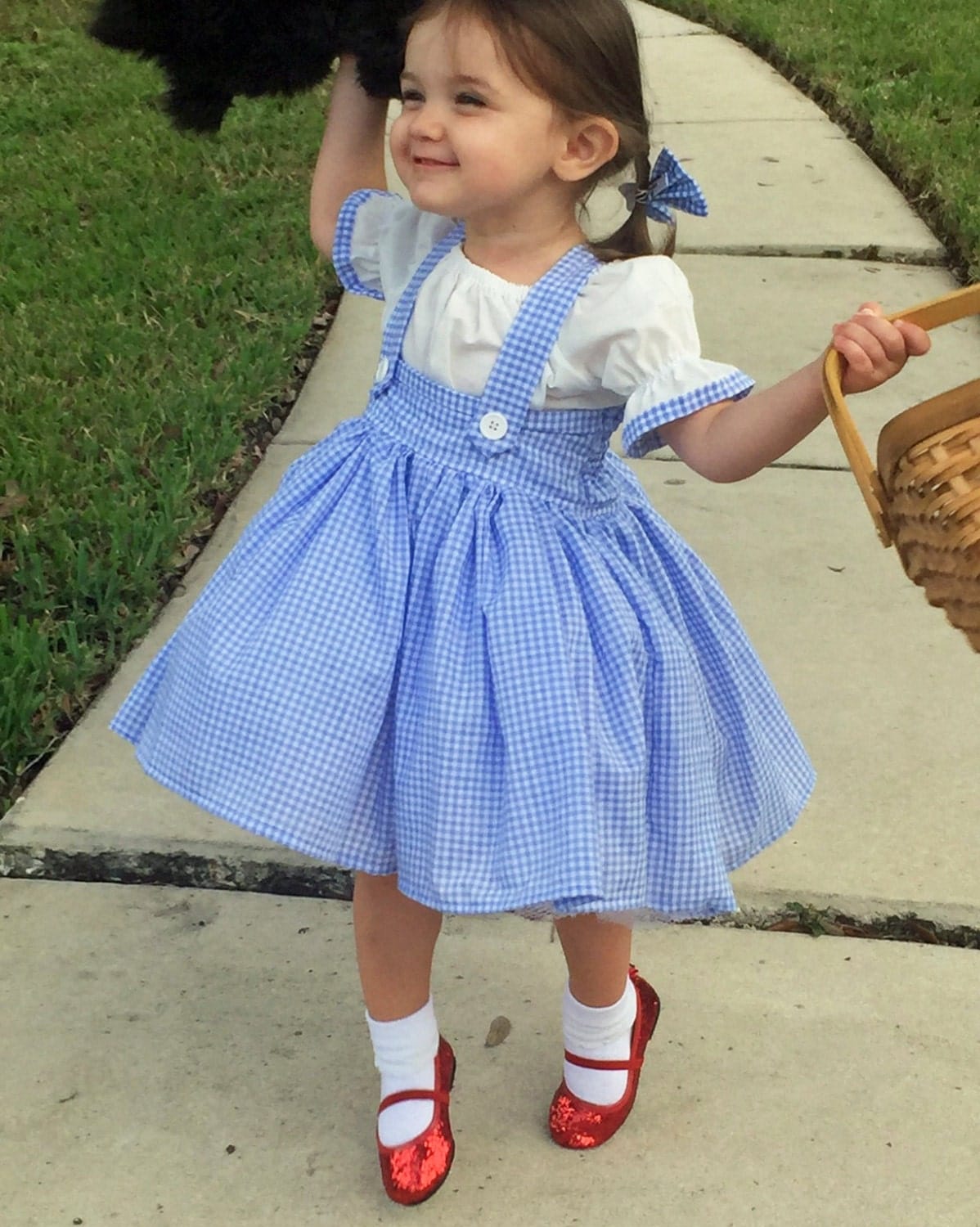Dorothy wizard of oz tutu girl dress and bows