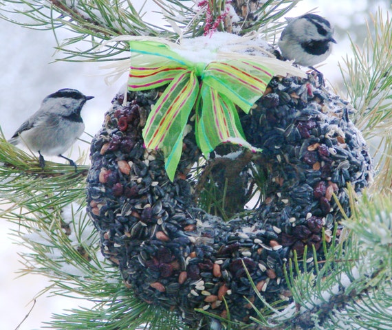 big bird seed feeder wreath organic built in hanger big bird seed feeder wreath organic built in hanger