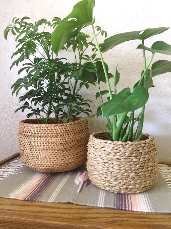 Coil Woven Vintage Straw Basket Planter