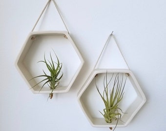 Porcelain Honeycomb Air plant Holder, Geometric Wall Hanging Planter