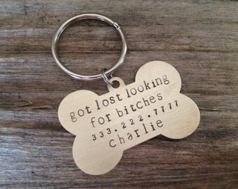 Dog ID Tag: "got lost looking for..."